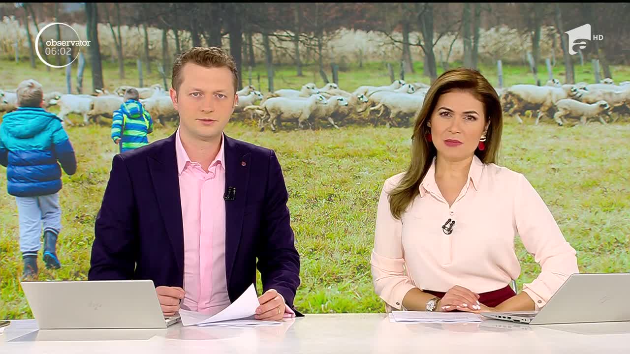 Alertă &icirc;n Vaslui! Doi fraţi minori au dispărut de la st&acirc;na unde locuiau cu părinţii lor
