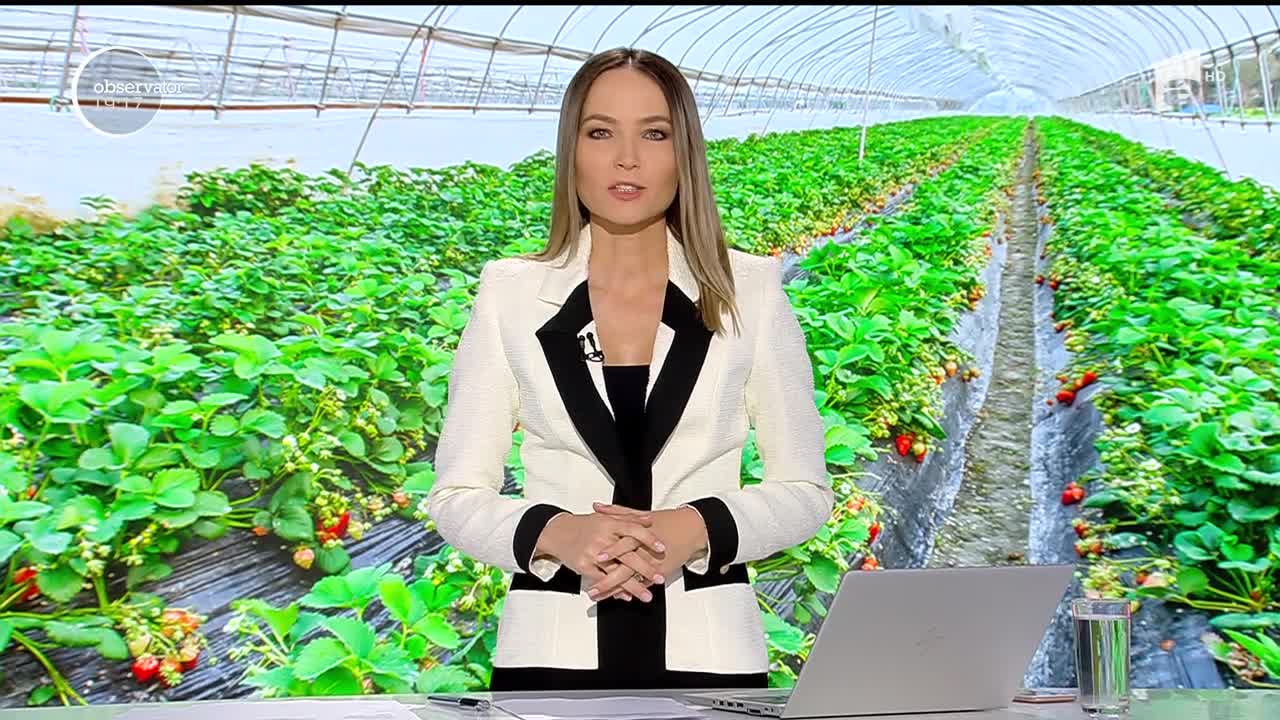 Căpşuni de toamnă pentru masa de Crăciun