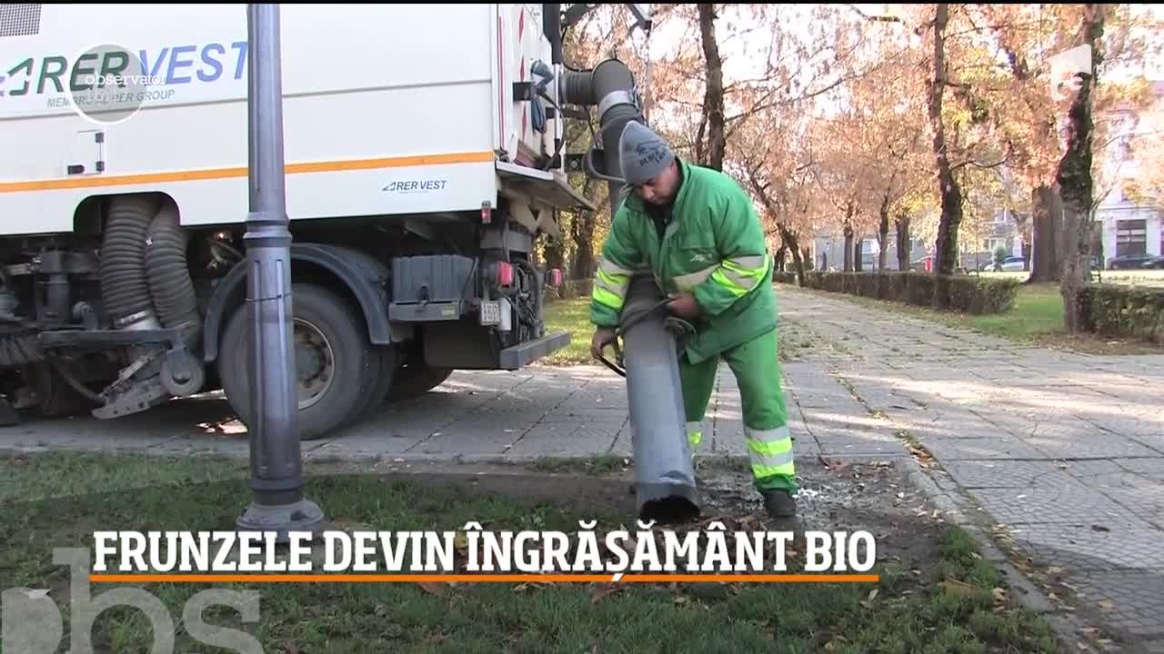 Frunzele nu mai sunt doar gunoi. Pot fi reciclate şi transformate &icirc;n păm&acirc;nt de flori