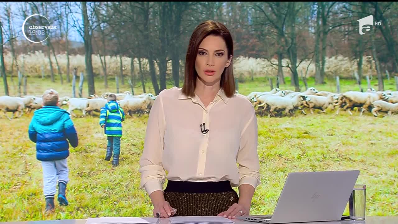 Copii transformați &icirc;n sclavi, &icirc;n Vaslui, de proprii părinți