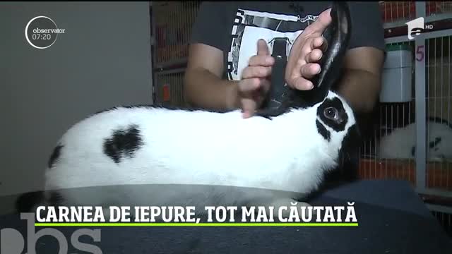 &Icirc;n goana după o alimentaţie sănătoasă, carnea de iepure este din ce &icirc;n ce mai căutată