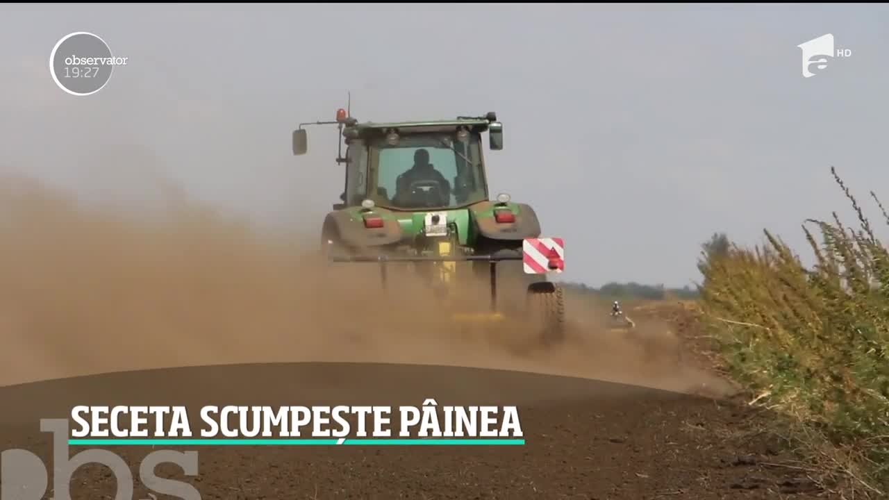 Seceta scumpește p&acirc;inea și covrigii