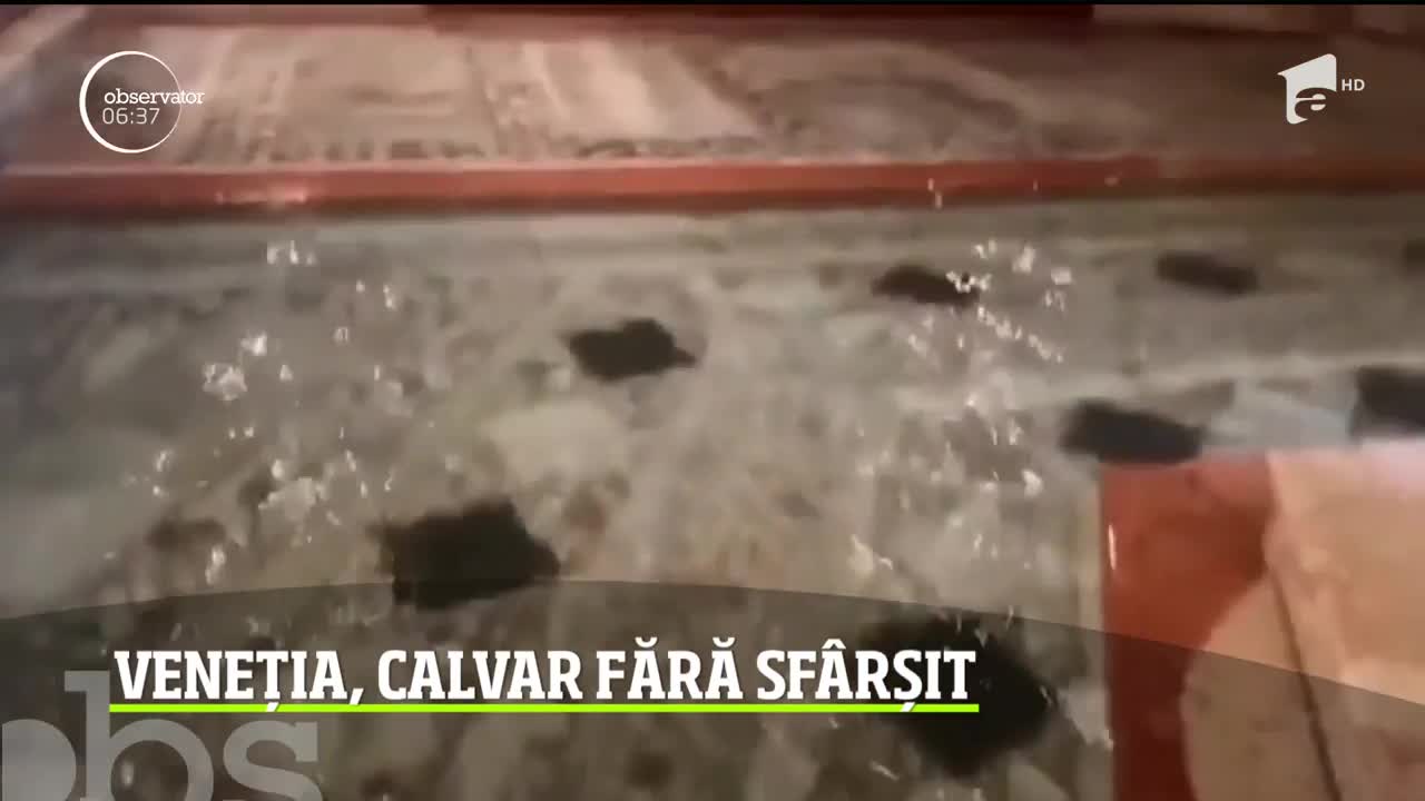 Veneția, calvar fără sf&acirc;rșit! Nivelul mării a urcat p&acirc;nă la un metru şi jumătate şi peste 70 la sută din centrul oraşului s-a aflat sub ape