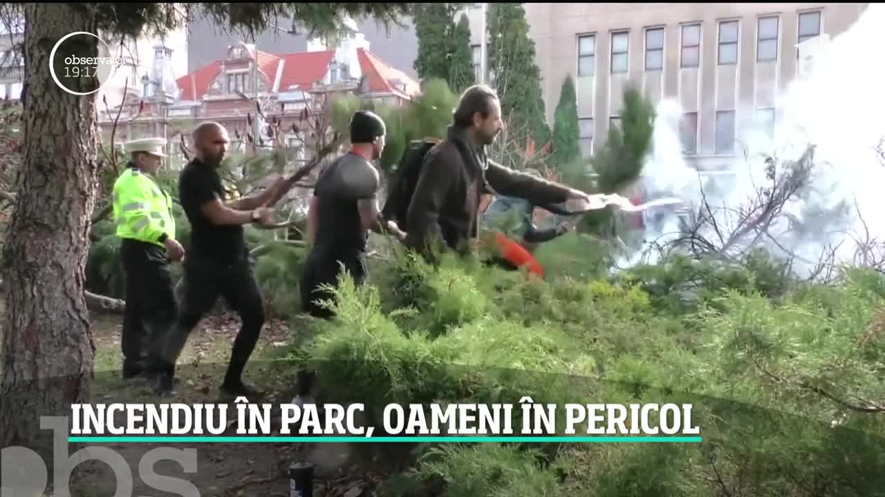 Incendiu puternic &icirc;n Parcul Central din Braşov