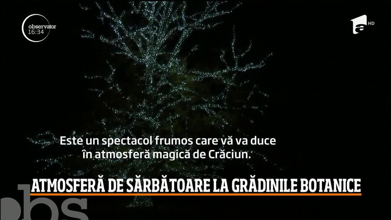 Grădinile Botanice Regale din Londra au intrat &icirc;n spiritul Crăciunului cu un spectacol impresionant de lumini!