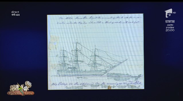 Neatza cu Răzvan și Dani - Smiley news. &Icirc;nt&acirc;mplare reală. Cum a scufundat un cașalot o navă