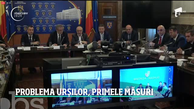 Șoferul care a lovit ursul din Harghita se pl&acirc;nge că a rămas fără maşină