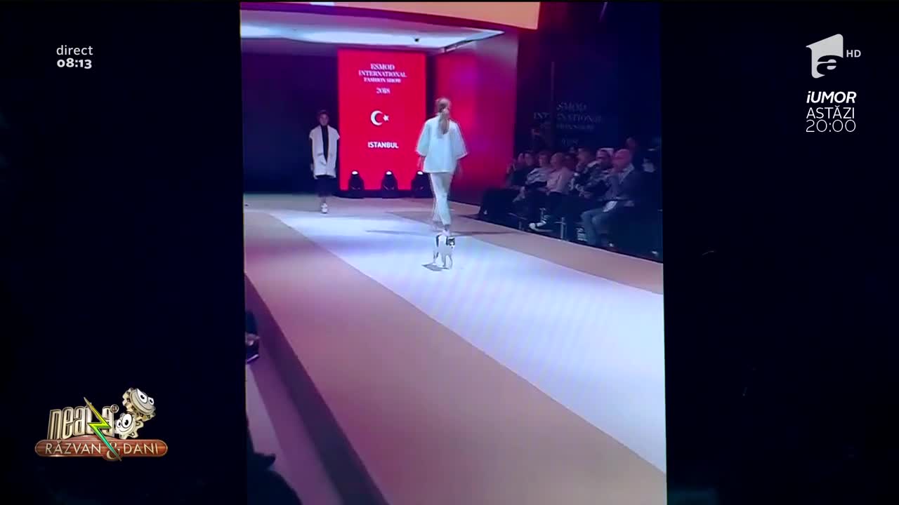 Neatza cu Răzvan și Dani - Smiley news. Pisica neinvitată, vedeta unei prezentări de modă cu pretenții