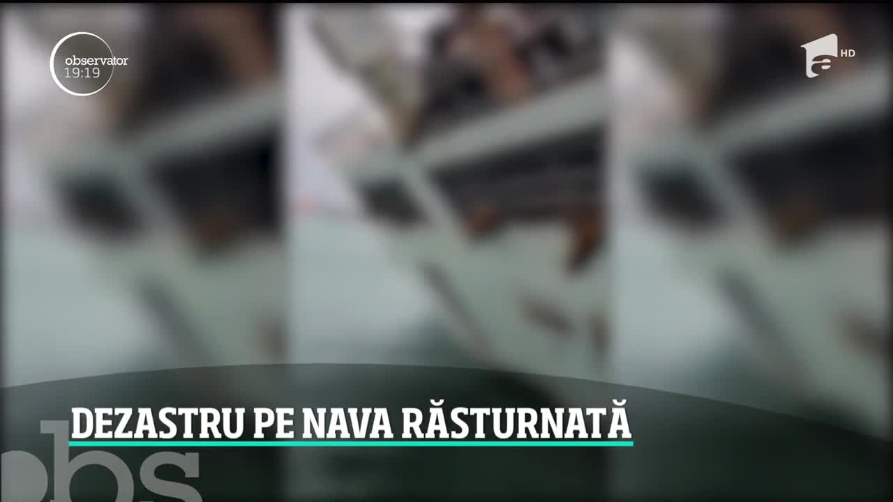 Imagini de la bordul navei răsturnate și cu 15 mii de oi la bord. Autorităţile vorbesc despre risc biologic