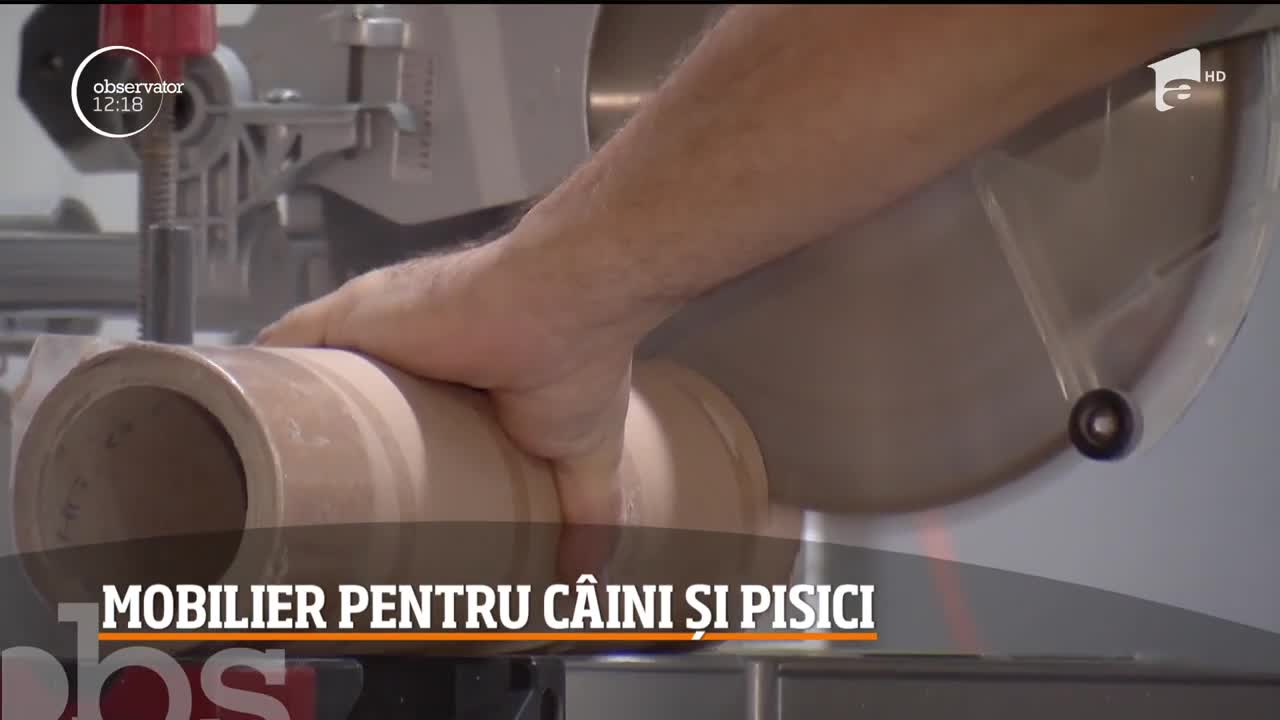 Mobilier pentru c&acirc;ni și pisici, sub mai toate formele pe care vi le puteti imagina