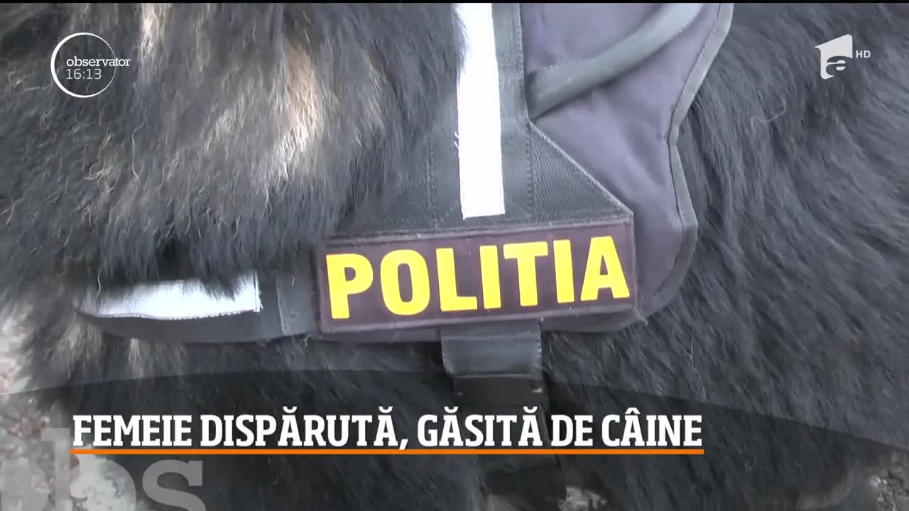 O femeie dispărută a fost găsită de un c&acirc;ine-polițist