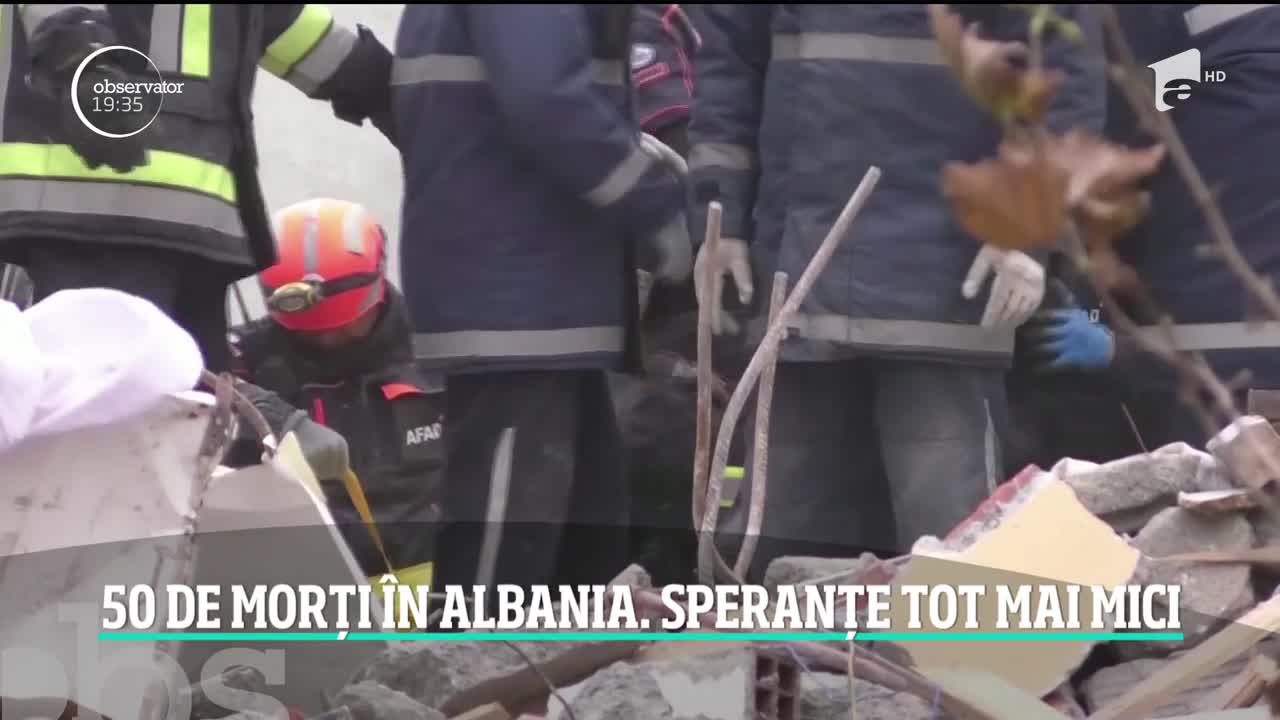 Trei c&acirc;ini din Rom&acirc;nia ajută la salvarea victimelor din Albania