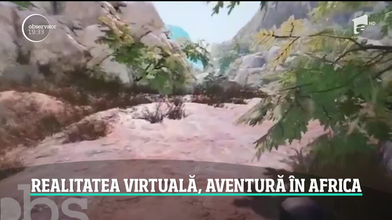 Se poate face safari şi &icirc;n Rom&acirc;nia! Printre girafe, rinoceri şi lei, exact ca pe continentul african