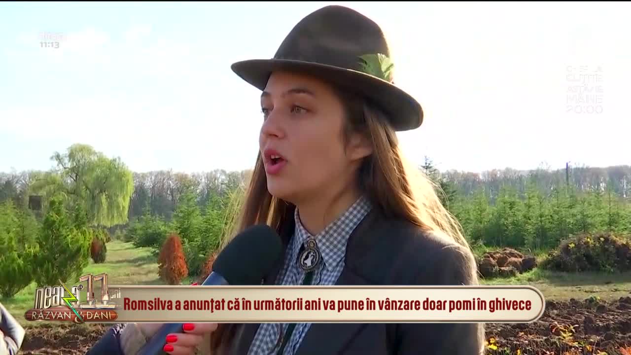 Neatza cu Răzvan și Dani. C&acirc;t costă bradul de Crăciun &icirc;n acest an. Romsilva promovează brazii la ghiveci