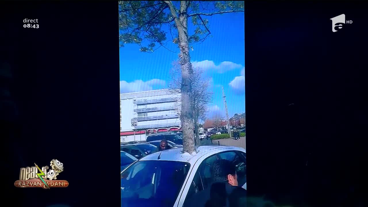 Smiley News - Neatza cu Răzvan și Dani. C&acirc;inele cu ochelari, pictura cu două fețe și copacul care a crescut printr-o mașină