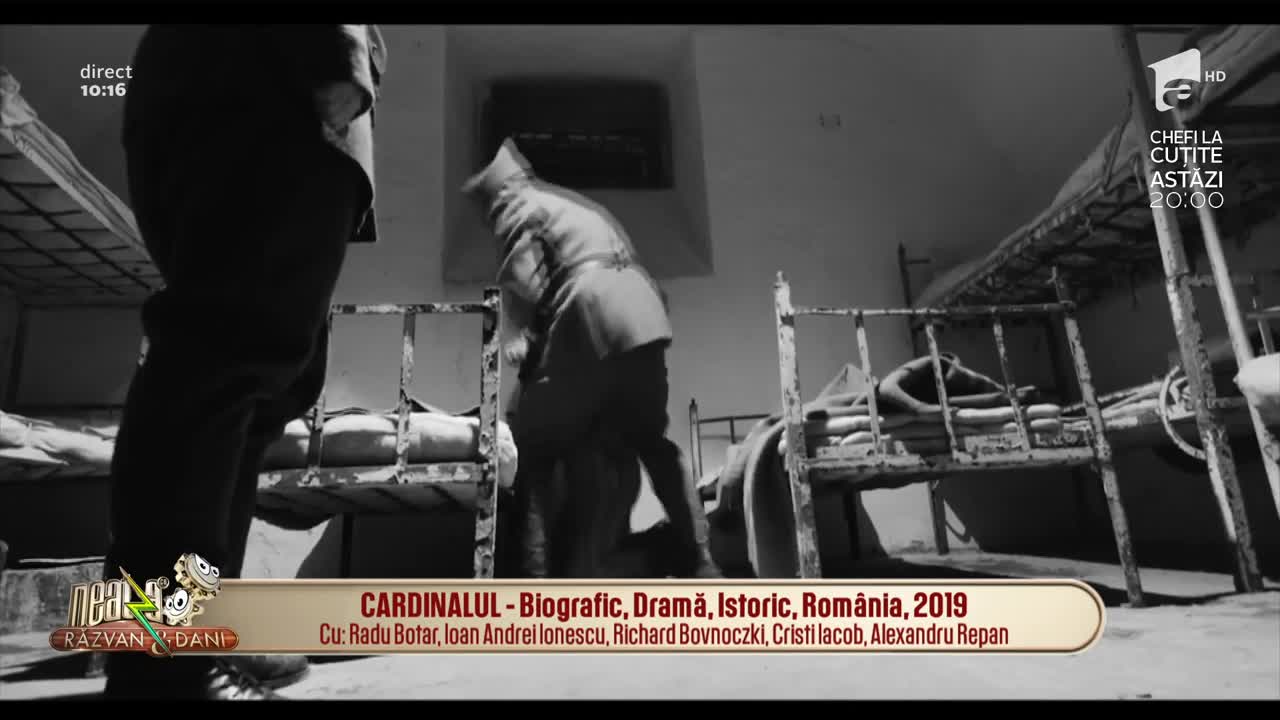 Cronica filmelor care trebuie vizionate: Cardinalul, Palace for the people și Jexi