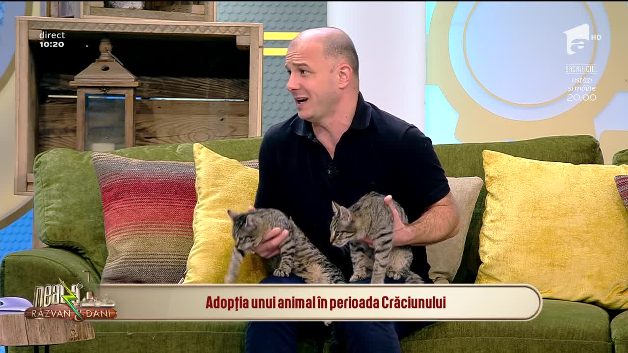 Neatza cu Răzvan și Dani. Adopția unui animal &icirc;n perioada Crăciunului: Este o mare responsabilitate și trebuie privită cu seriozitate