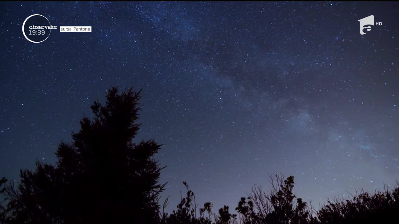 A fost aleasă culoarea anului 2020