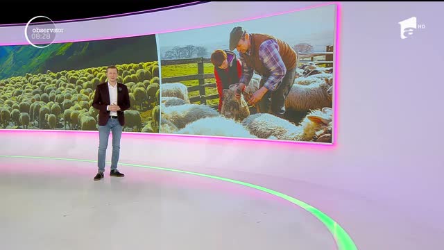 Foarte mulţi rom&acirc;ni preferă carnea de miel pe masa de Crăciun