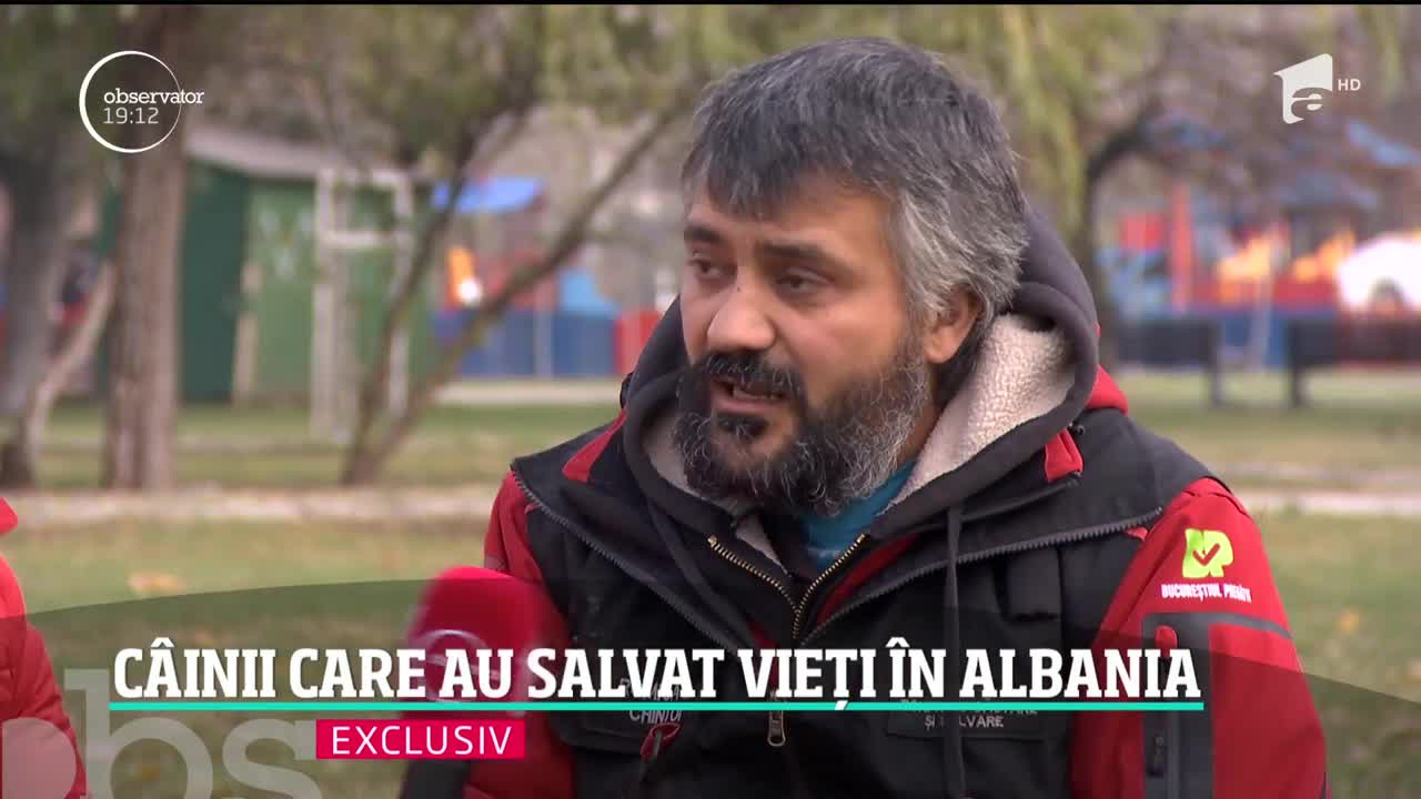 Billy şi Challapa, c&acirc;inii care au salvat vieţi &icirc;n Albania