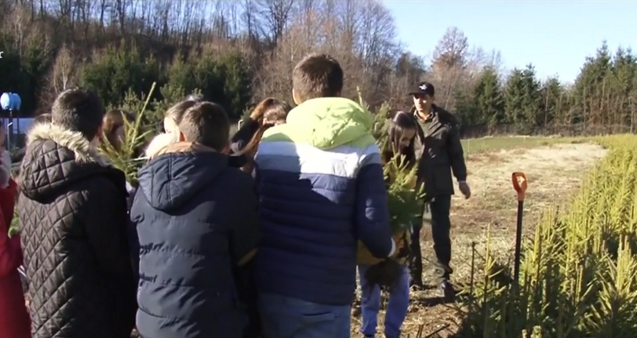 Prichindeii &icirc;nvață cum să prețuiască natura! Copiii de la o şcoală din Argeş au primit de la silvicultori spre adopţie c&acirc;te un pui de brad pe care să-l crească