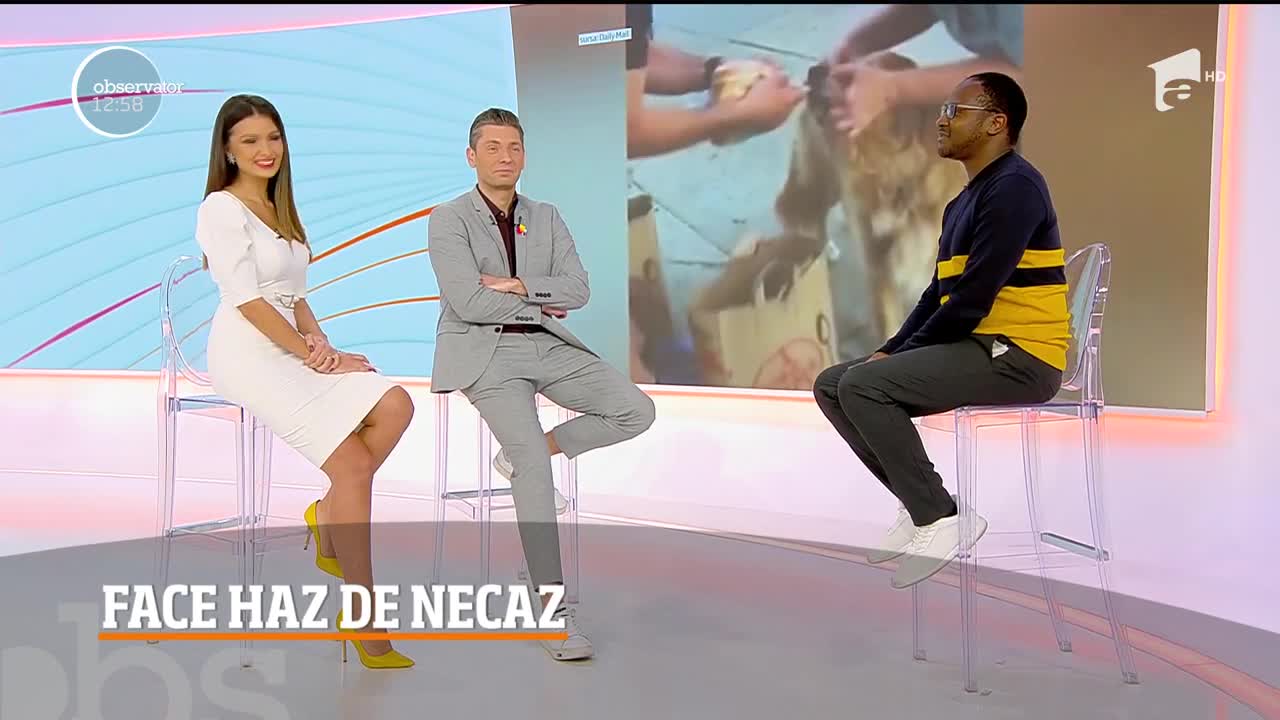 Mukinka Chibanga, c&acirc;știgătorul iUmor, dă testul prompterului &icirc;n direct, la Observator