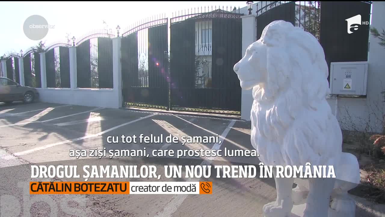 Drogul șamanilor, un nou trend &icirc;n Rom&acirc;nia