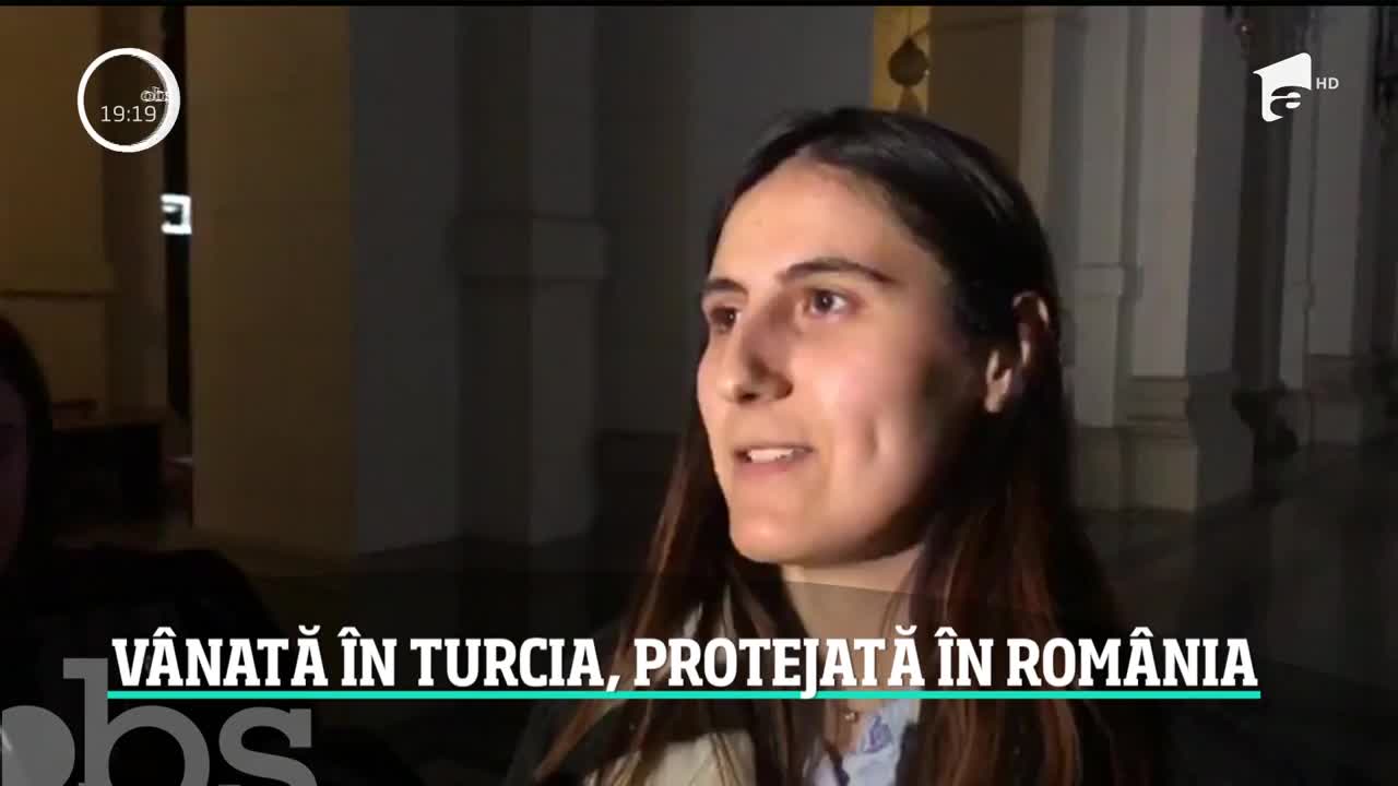 O profesoară de la un prestigios liceu din Capitală s-a trezit v&acirc;nată de preşedintele turc Erdogan. Reţinută &icirc;n această dimineaţă, t&acirc;năra face dezvăluiri uluitoare