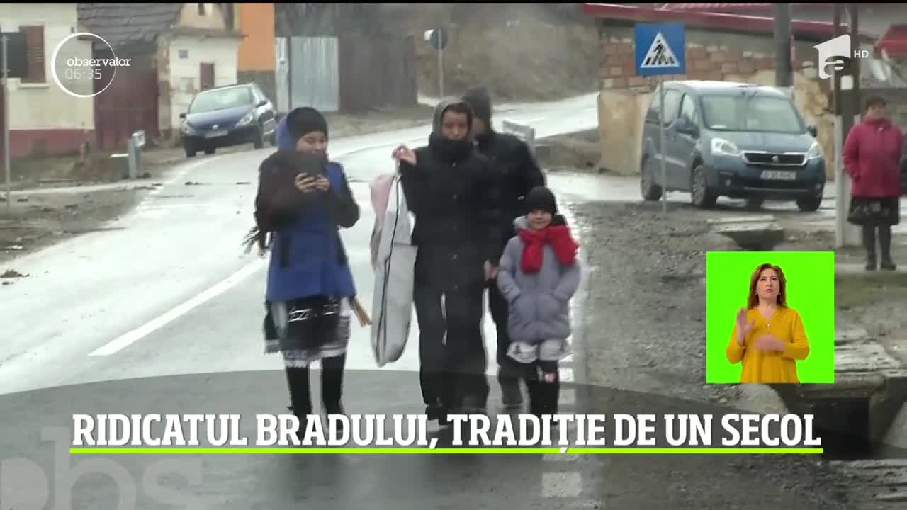 Ridicatul bradului, tradiție de un secol &icirc;n Transilvania