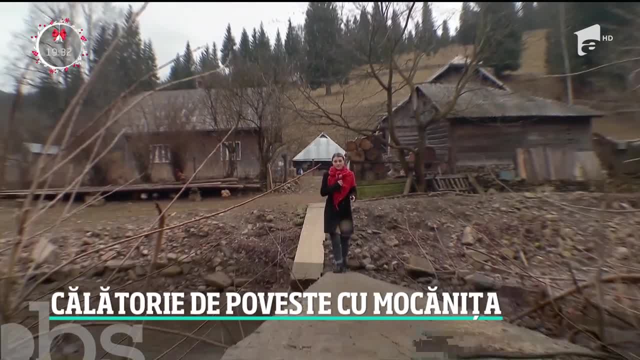 O plimbare cu mocaniţa ne poartă nu doar pe alte tăr&acirc;muri, ci şi &icirc;n alte timpuri. &Icirc;n Bucovina, trenul cu aburi e plin cu turişti, cei mai mulţi străini