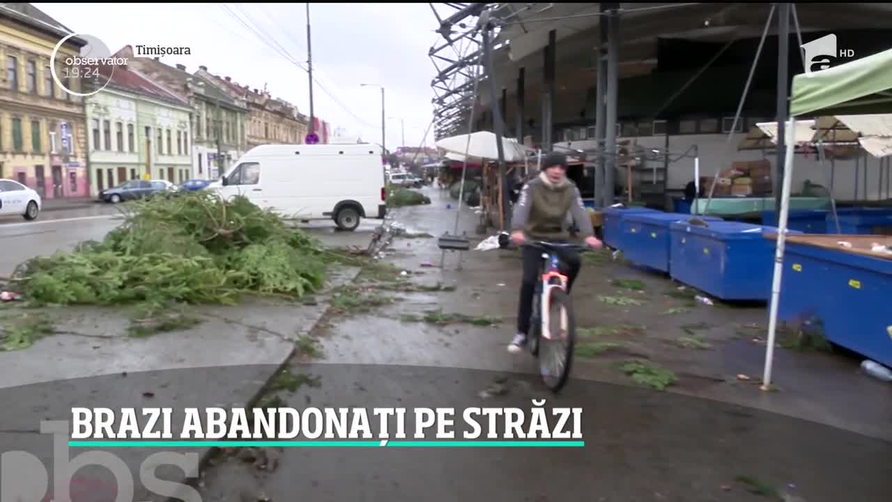 Brazi abandonați pe străzi, &icirc;n a doua zi de Crăciun