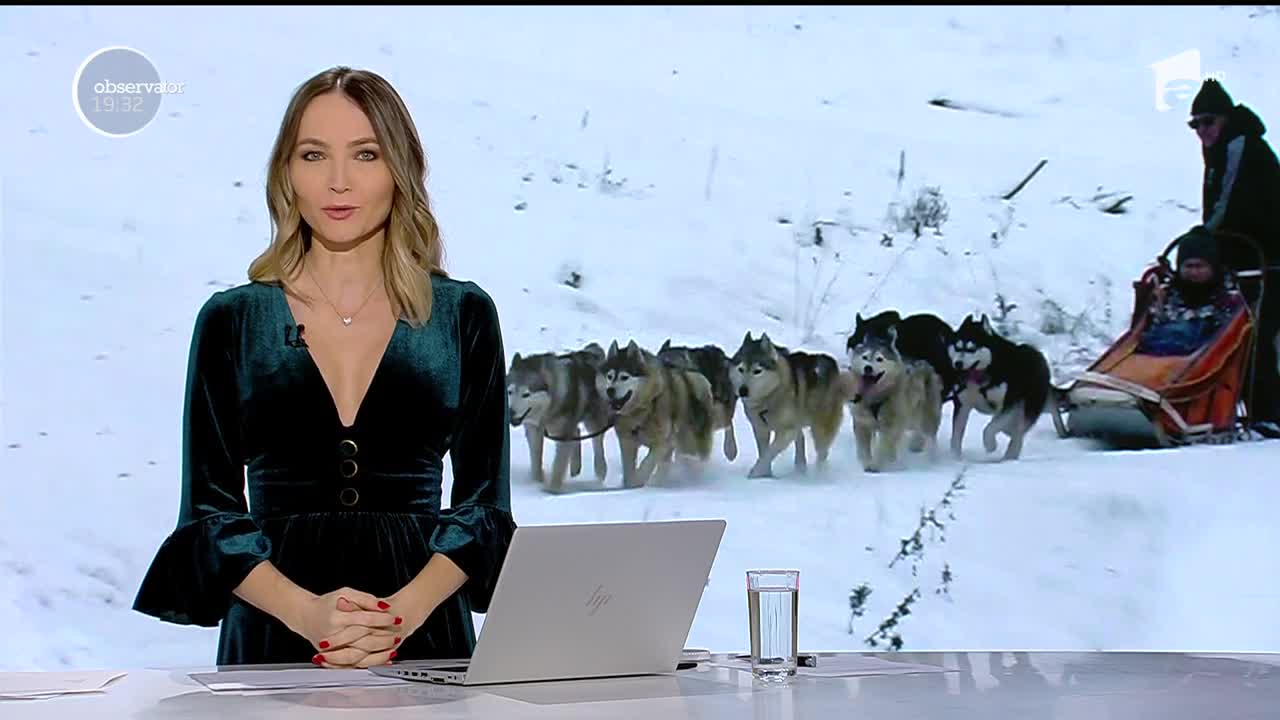 Plimbarea cu sania trasă de c&acirc;ini, tradiție &icirc;n Harghita