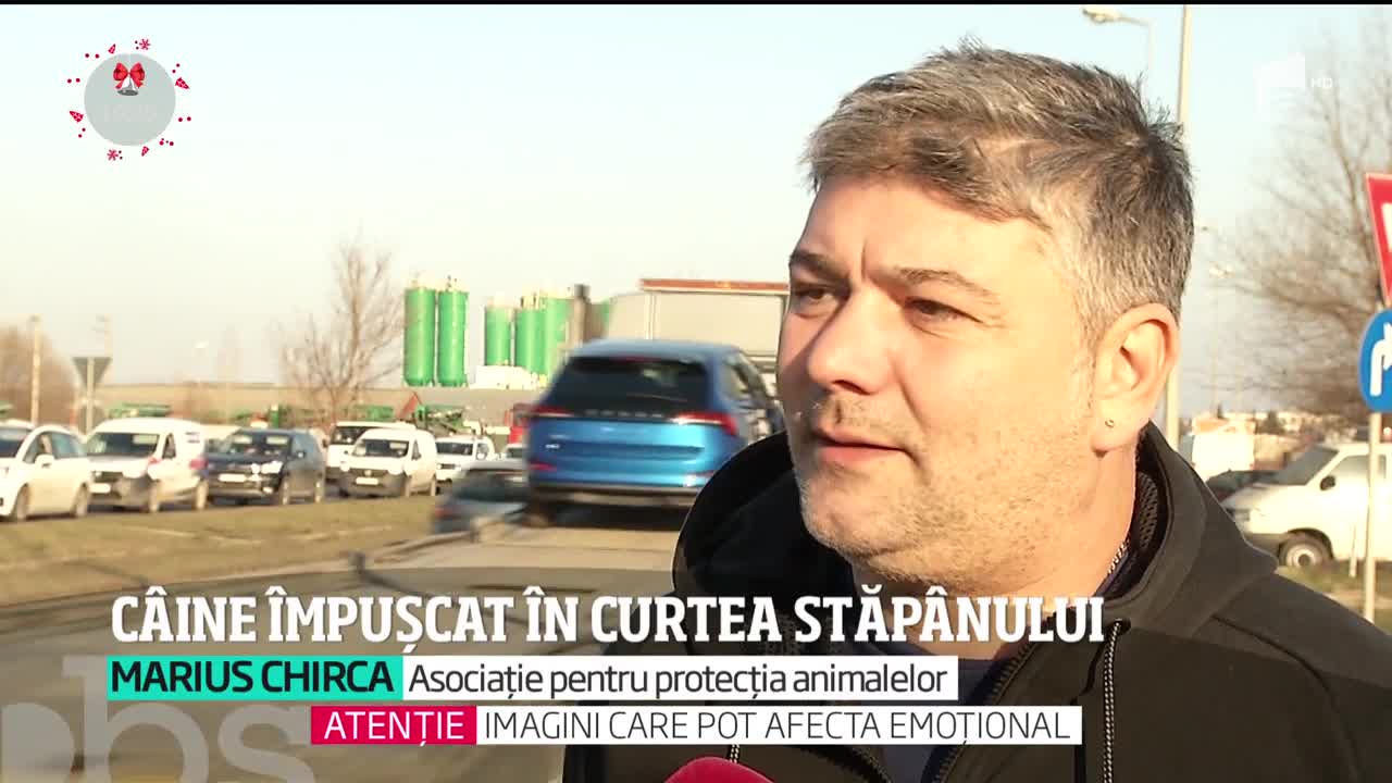 Cruzimea unor indivizi din D&acirc;mboviţa nu a avut margini. Un c&acirc;ine a fost &icirc;mpuşcat chiar &icirc;n curtea stăp&acirc;nului său