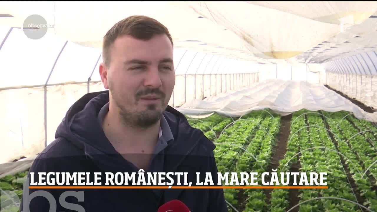Legumele rom&acirc;nești, la mare căutare