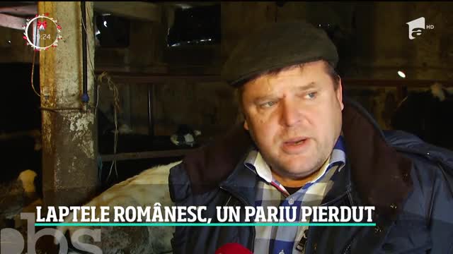Fermele de vaci, pe cale de dispariţie &icirc;n Rom&acirc;nia
