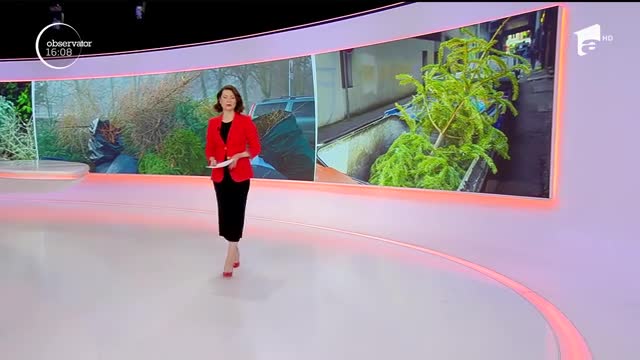 Pomii de iarnă devin &icirc;ngrăşăm&acirc;nt bio, după sărbători