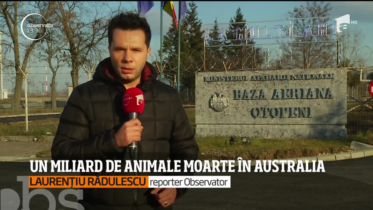 Un miliard de animale moarte &icirc;n Australia