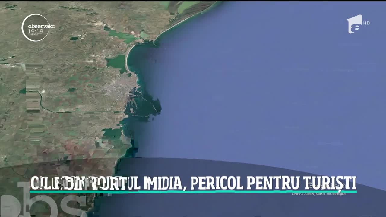 Staţiunea Mamaia e pe punctul să devină o bombă ecologică. Miile de oi care au murit &icirc;n accidentul naval din portul Midia nu au fost scoase din apă