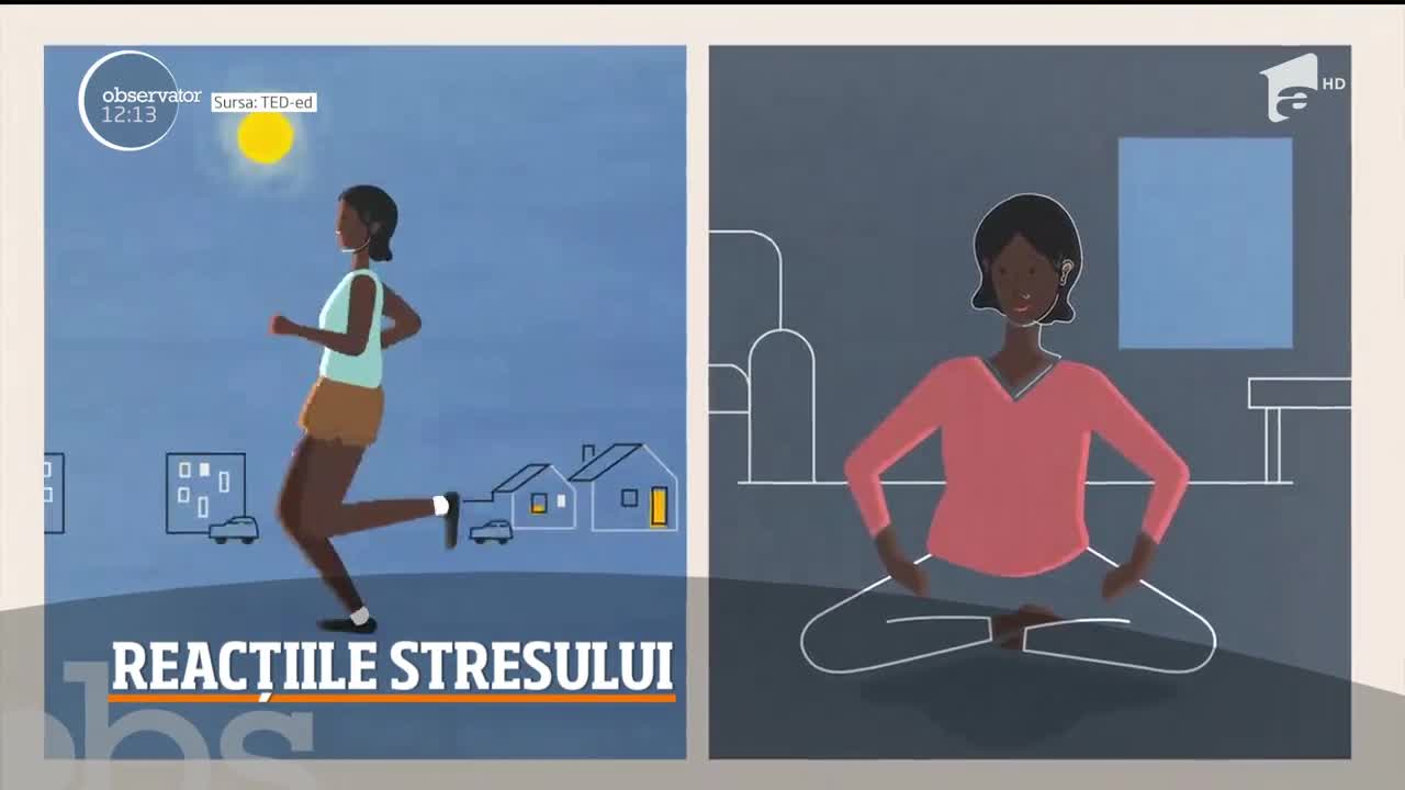Ce este stresul și cum se manifestă. Iată ce ne recomandă specialiștii
