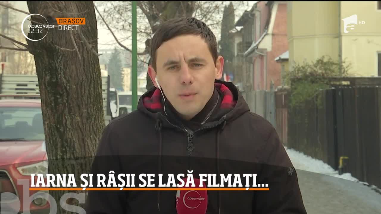 R&acirc;s, filmat &icirc;ntr-o pădure din județul Suceava