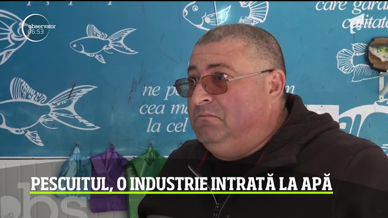 Pescuitul, o industrie intrată la apă
