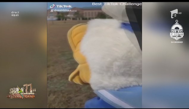 Neatza cu Răzvan și Dani. Totul despre aplicația TikTok. Ce este și cum funcționează