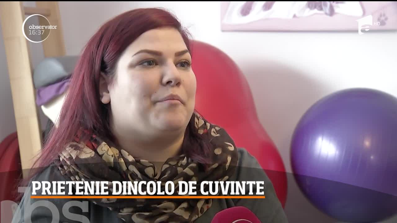 &Icirc;n Cluj, trei labradori lucrează cu nomă &icirc;ntreagă &icirc;ntr-un centru pentru copii cu autism