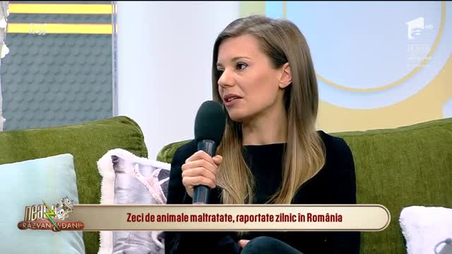 Neatza cu Răzvan și Dani. Petardele, spaima animalelor de companie: Cei care maltratează necuv&acirc;ntătoarele pot face și &icirc;nchisoare