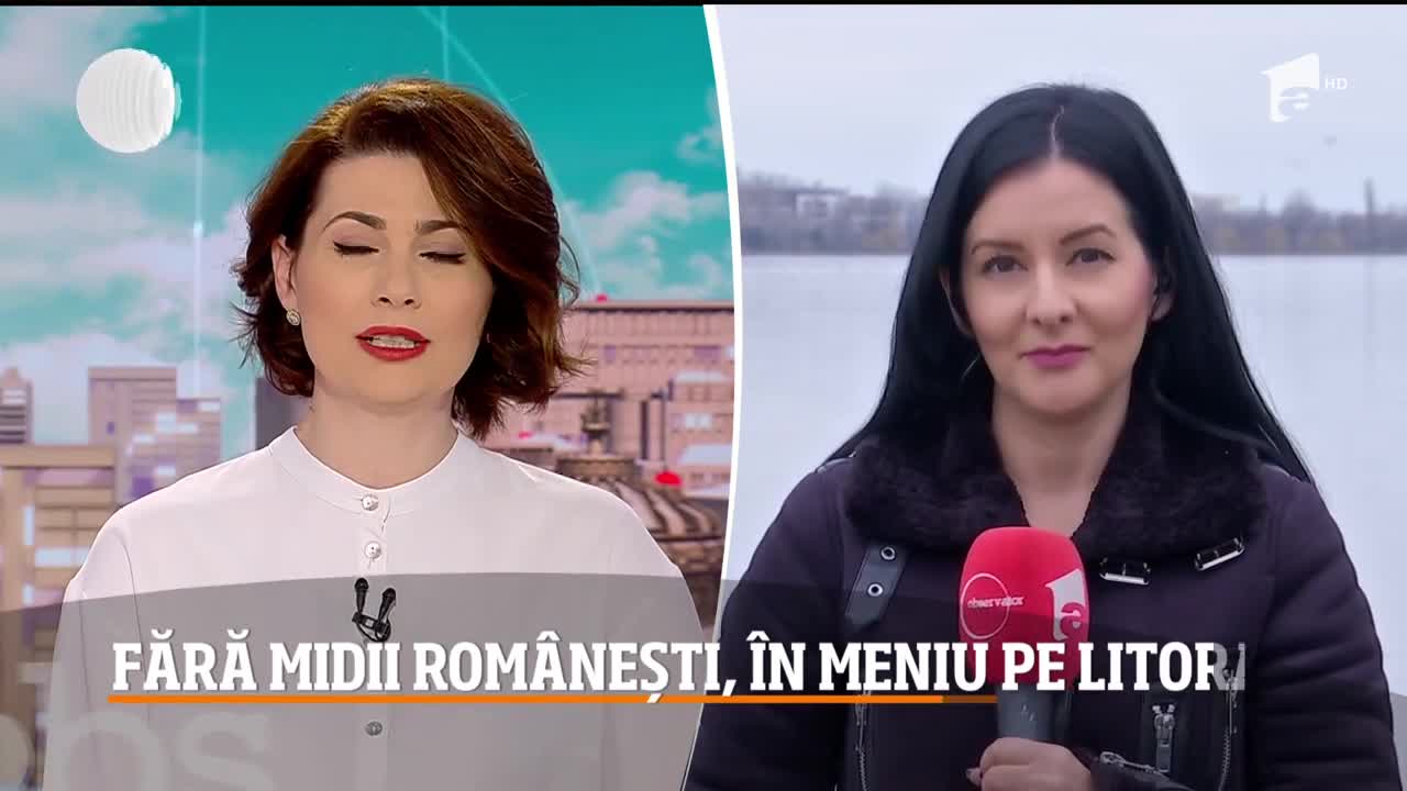 Midiile din Marea Neagră, interzise &icirc;n meniurile restaurantelor de pe litoralul rom&acirc;nesc