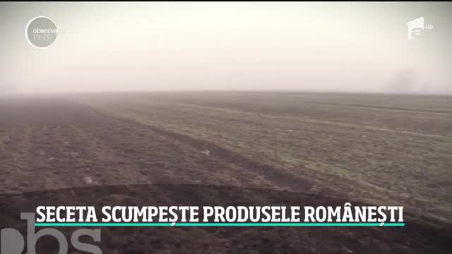 Lipsa zăpezii scumpește produsele rom&acirc;nești