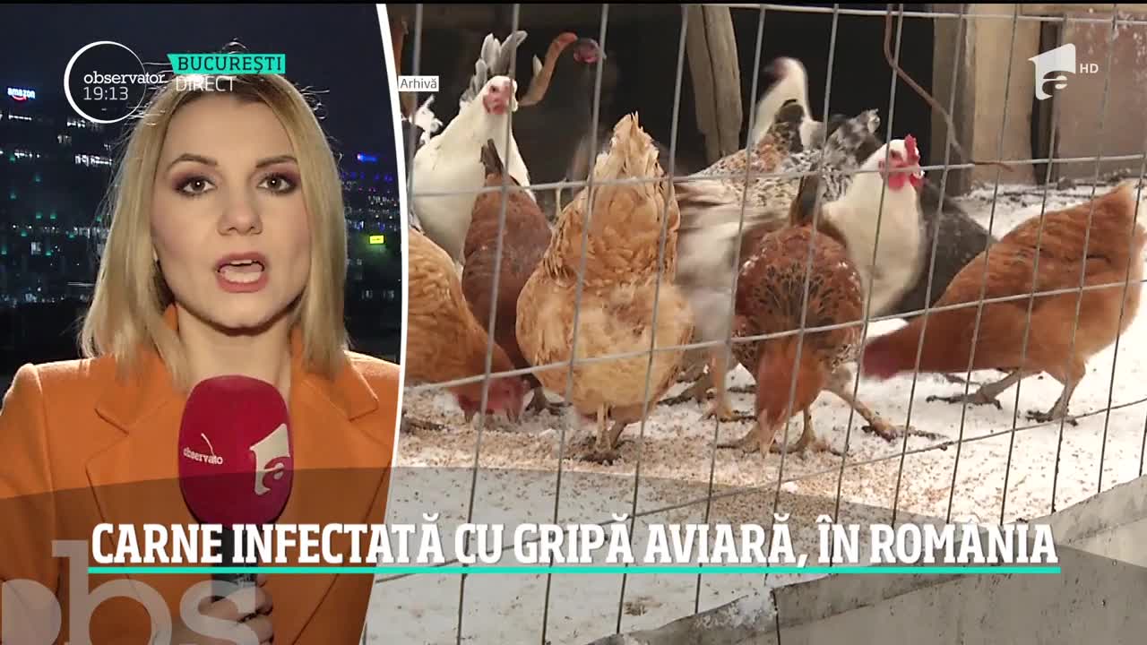 Alertă alimentară &icirc;n vestul Rom&acirc;niei: focar de gripă aviară