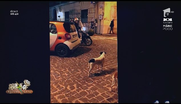 Smiley News - Neatza cu Răzvan și Dani. Mașina, motocicliștii și c&acirc;inii