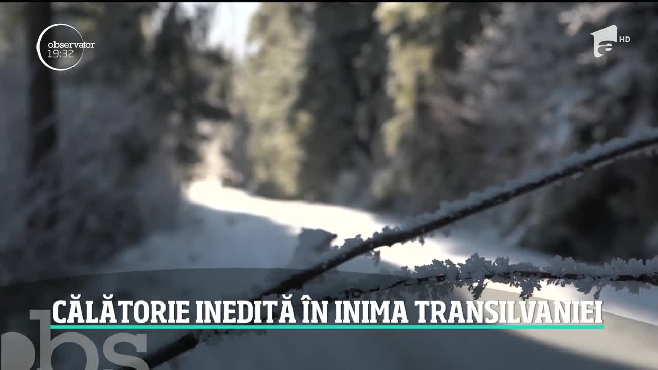 Călătorie inedită cu căruţele &icirc;n inima Transilvaniei