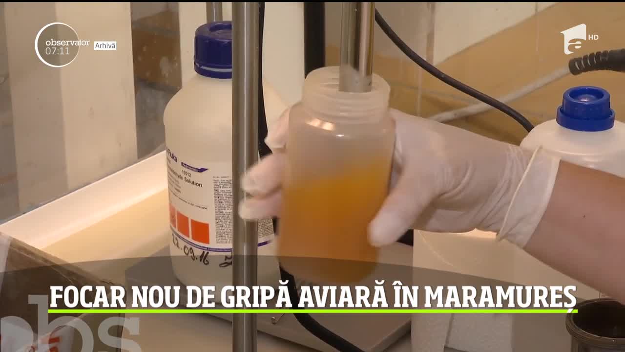 Un nou focar de gripă aviară a fost confirmat &icirc;n Maramureş